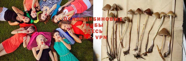 бутират Алексин