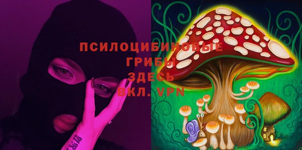 альфа пвп Алексеевка