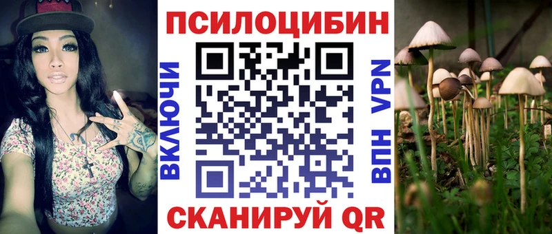 Псилоцибиновые грибы мицелий  Трёхгорный 